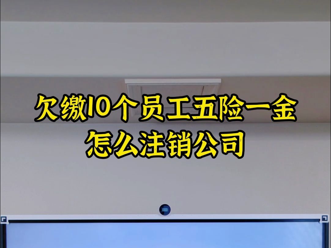 欠缴10个员工的五险一金,怎么注销公司哔哩哔哩bilibili