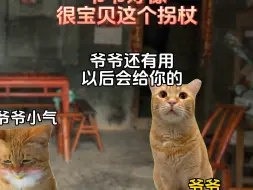 Download Video: 爷爷的拐杖去哪了#粉丝投稿#猫meme剧场#真实还原#童年#小猫