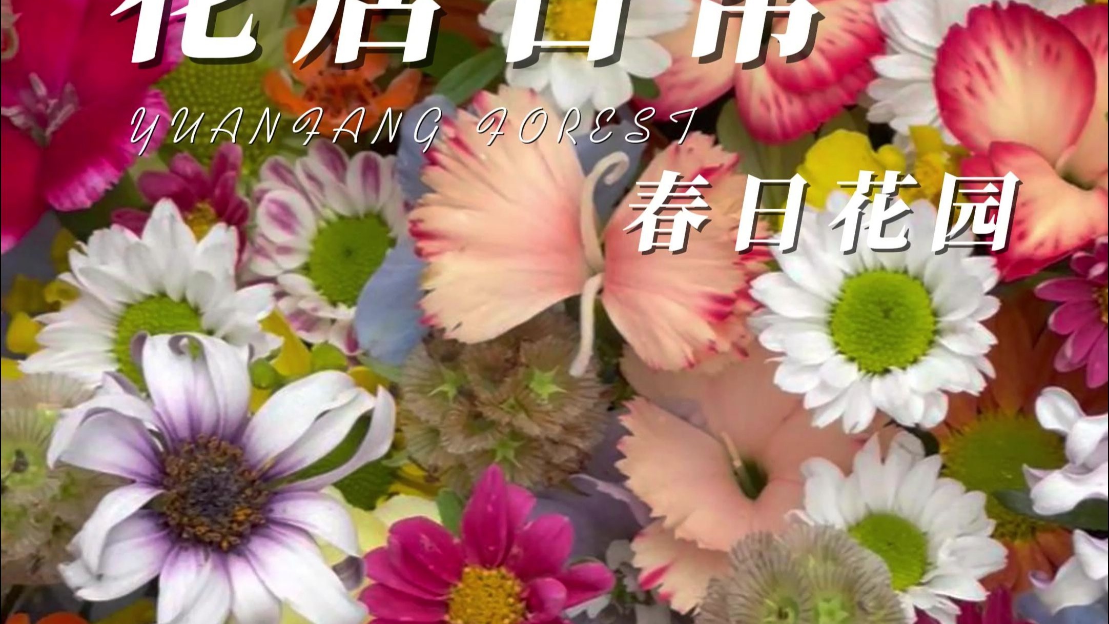 《放松时光:与你共享Lo-Fi故事》官方发布预告片-Mug_i-默认收藏夹-哔哩哔哩视频