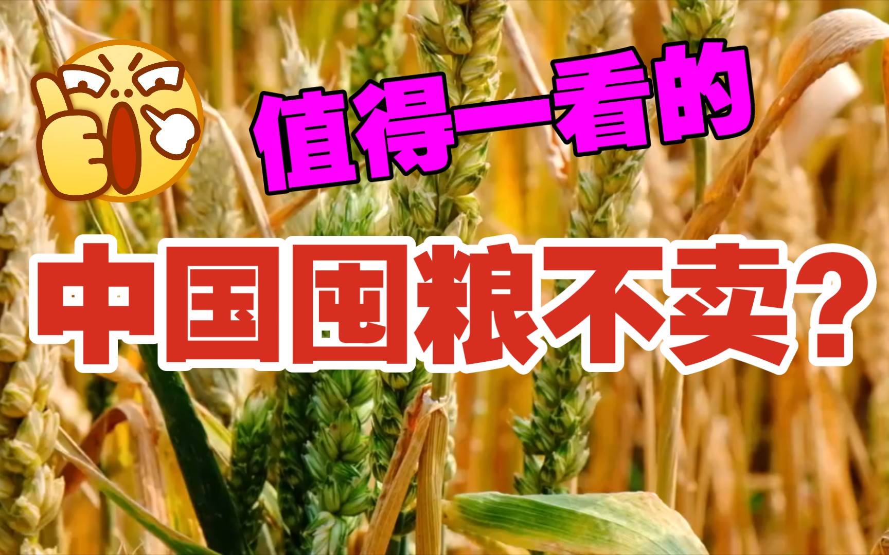 一季度海关数据公布,黑海供应中断不影响我国粮食进口;全球粮食价格高企,有媒体指出中国囤粮不卖——这是真的吗?哔哩哔哩bilibili