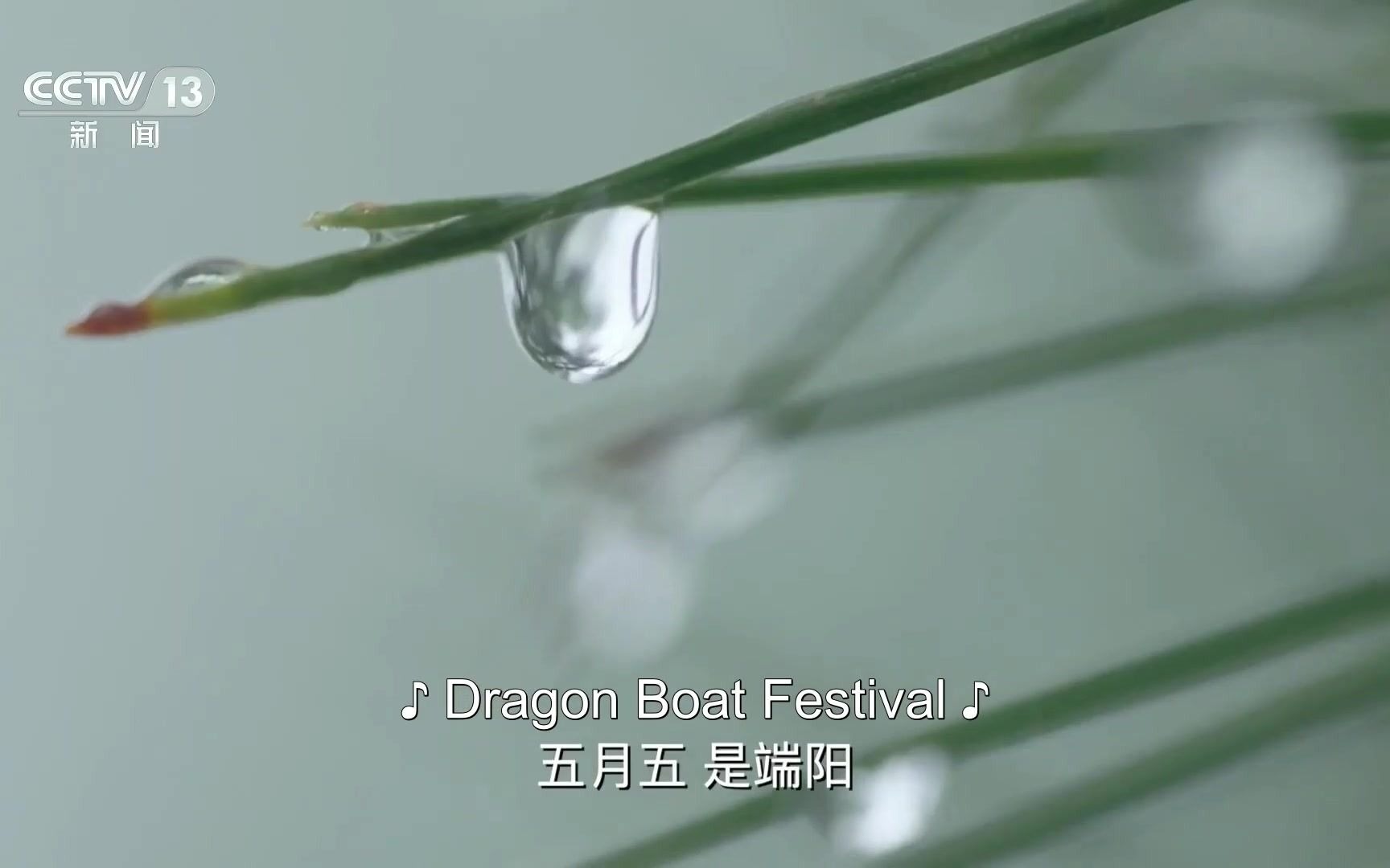 [图]端午节-Dragon Boat Festival