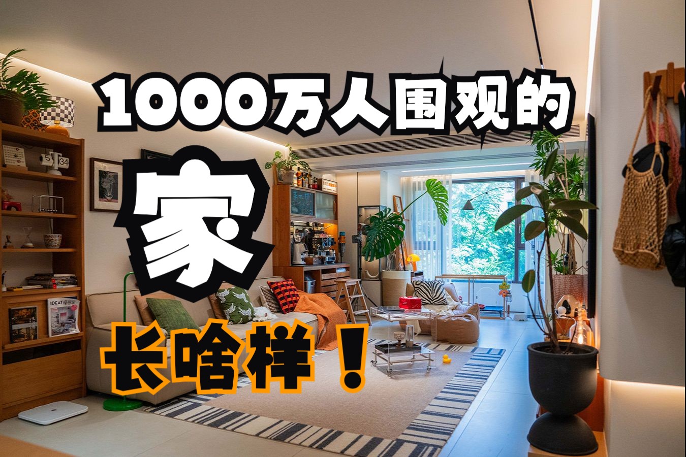 1000W人围观的家装修成啥样子!哔哩哔哩bilibili