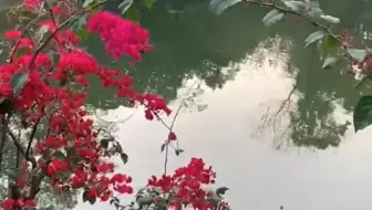 小小花