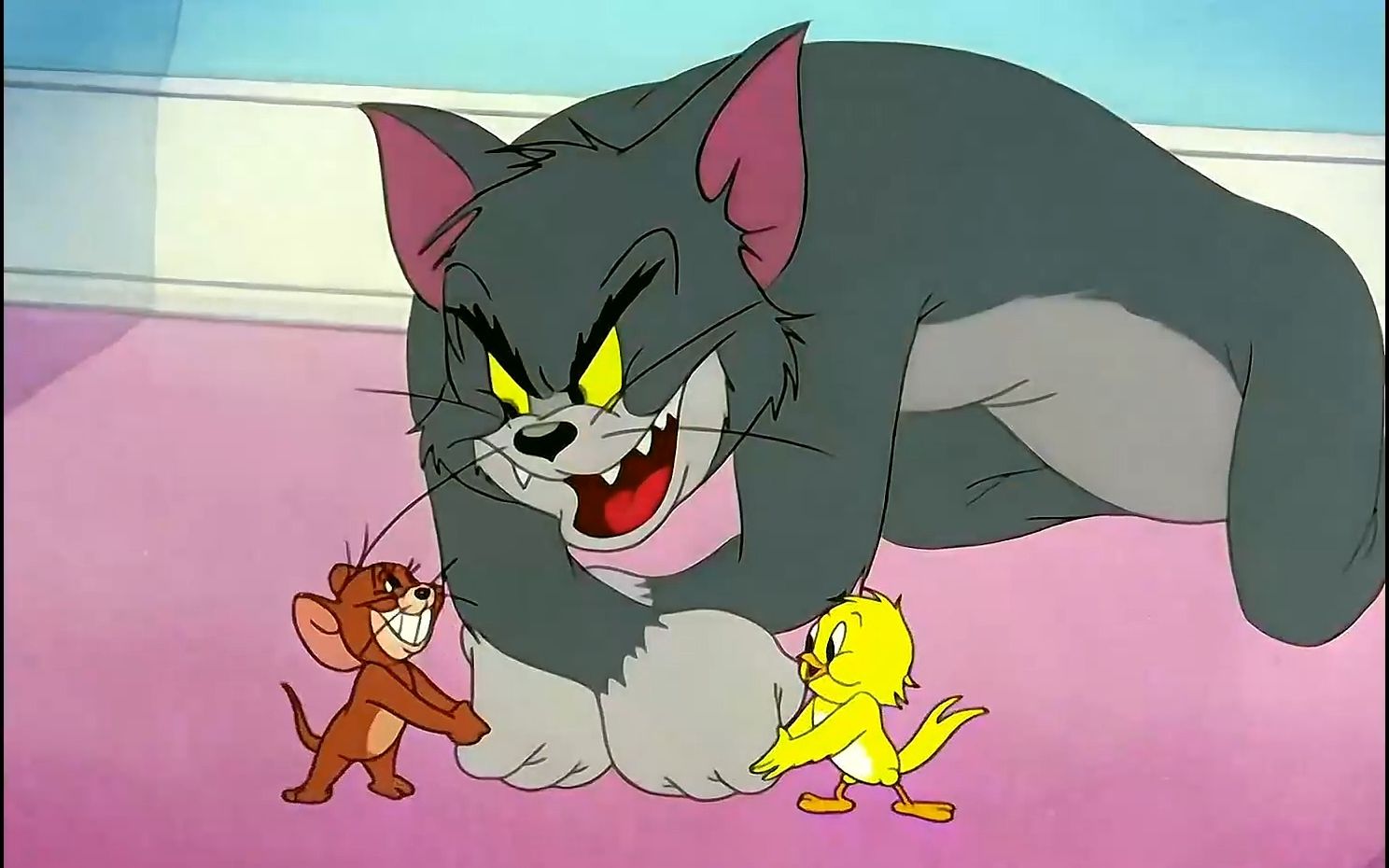 第一动画乐园猫和老鼠图片
