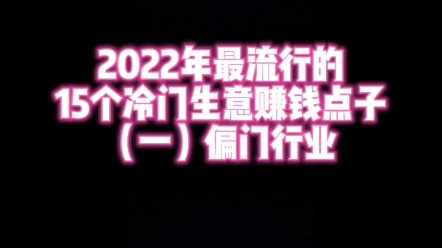 2022年最流行的15个冷门生意赚钱点子(一)偏门行业哔哩哔哩bilibili