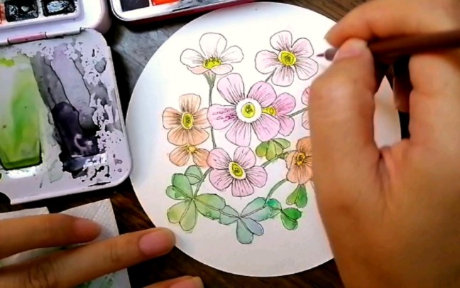 水彩画手绘酢浆草