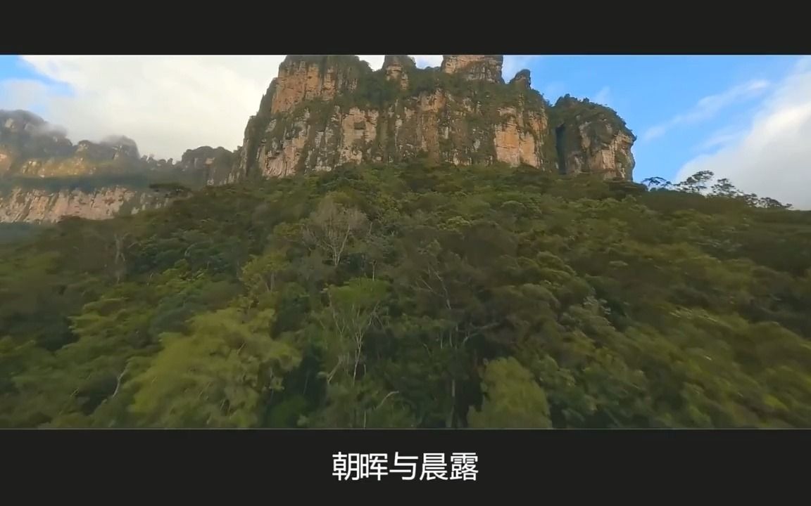 经典轻音乐《Morning Has Broken》欢快的旋律,濯洗烦恼驱散阴霾哔哩哔哩bilibili