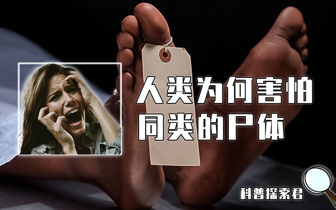 [图]杀人分尸楼栋无人敢住？人类为何害怕同类尸体，却不害怕动物的？