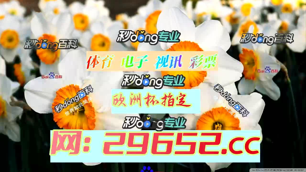 【4分钟讲解】秒速飞艇6码计划算法