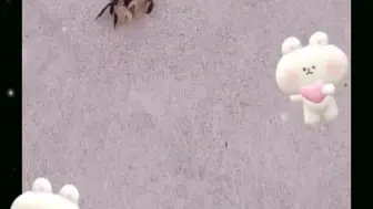 ...