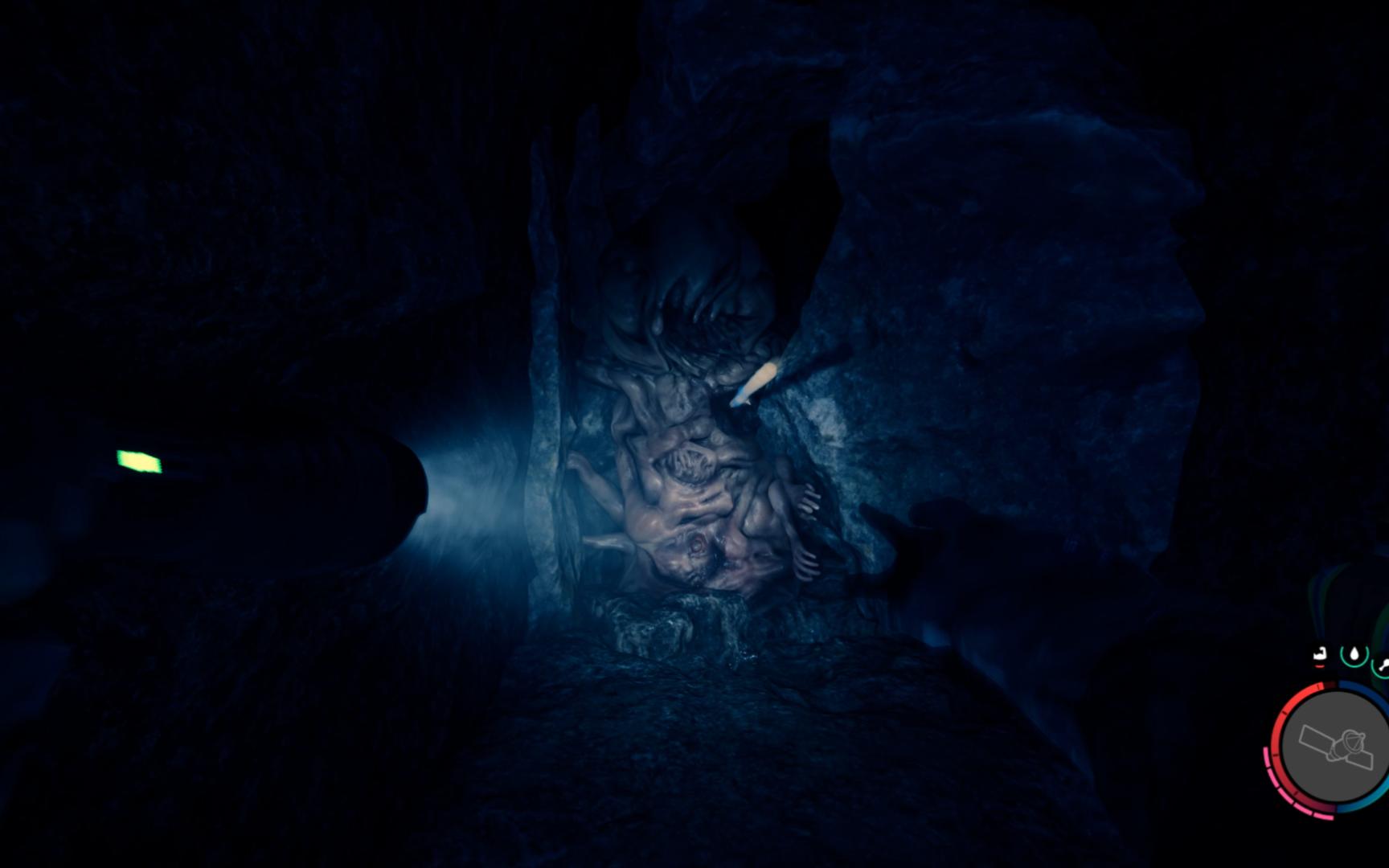 森林之子洞穴里的变异体好大