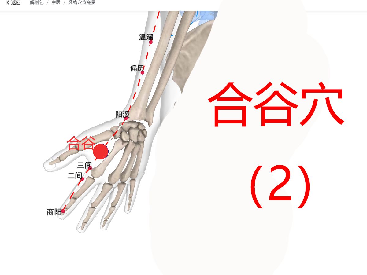 合谷穴 三分钟内经图文声像笔记哔哩哔哩bilibili