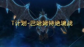 T计划 绝巴哈篇 工匠精神和减伤轴的简单分享 完整解说版 第一视角见简介 哔哩哔哩 つロ干杯 Bilibili