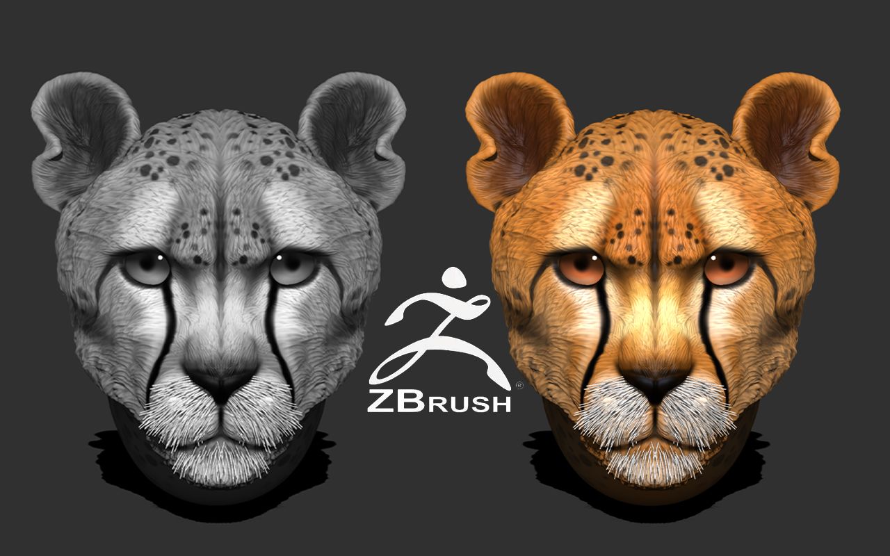 【Zbrush】豹子动物写实角色建模及渲染全流程!3D建模 次时代游戏角色 CG教程哔哩哔哩bilibili