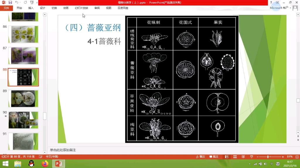 生物奥赛寒假植物分类学学习12哔哩哔哩bilibili