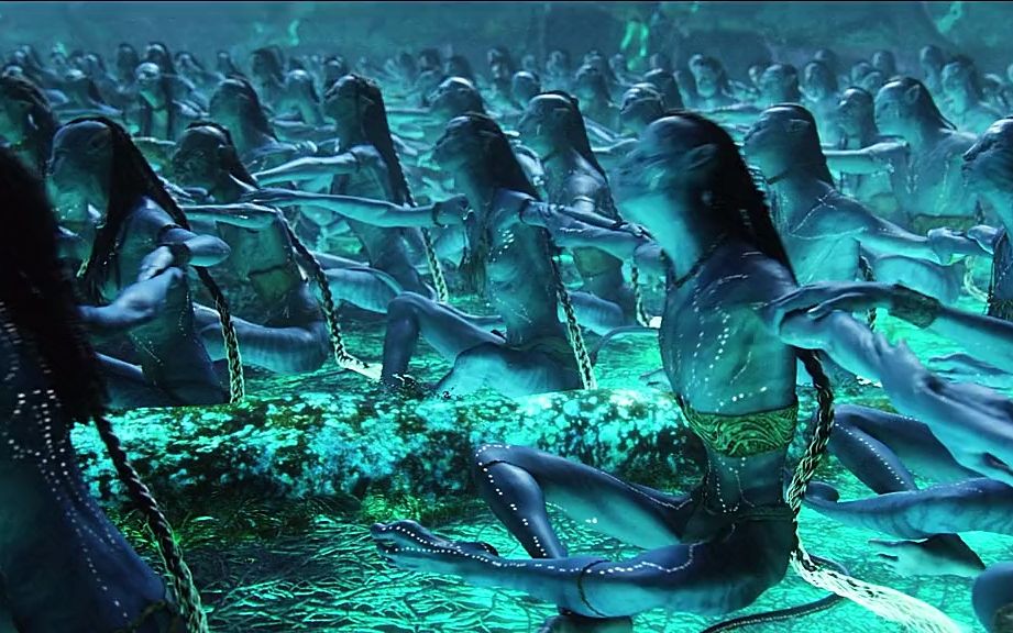 感受纳美族的部落力量