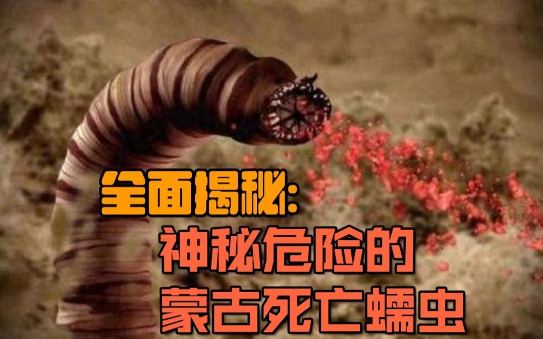 全面揭秘:神秘危险的蒙古死亡蠕虫哔哩哔哩bilibili