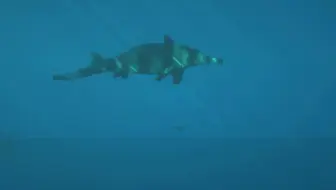 我的世界居然出现了海爬？！侏罗纪模组最新更新！