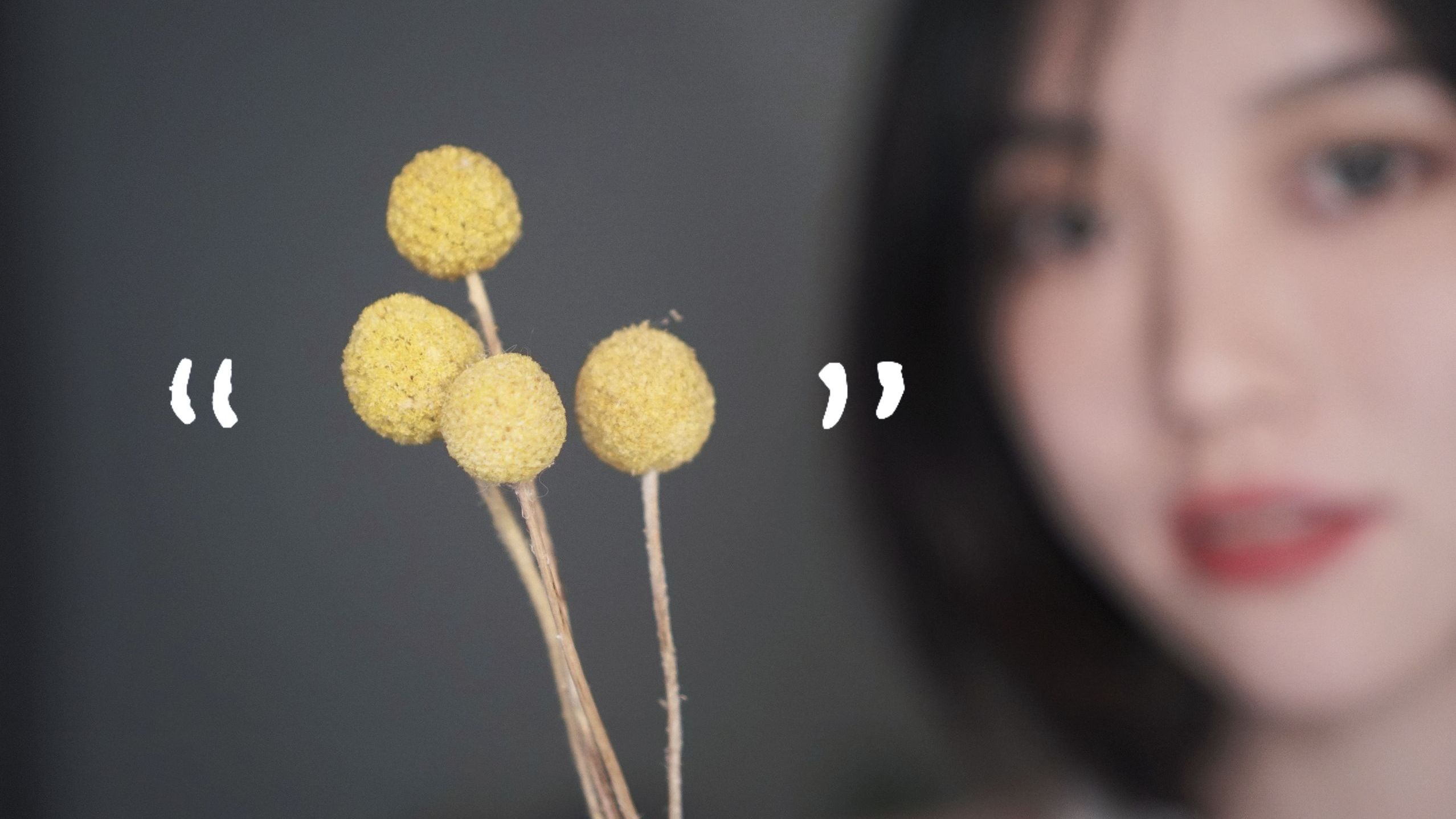 *黄金球干花 刮擦 挤压 戳耳 「asmr小碗菜」