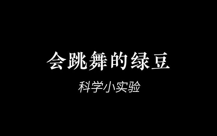 科学小实验,会跳舞的绿豆,6月2日哔哩哔哩bilibili