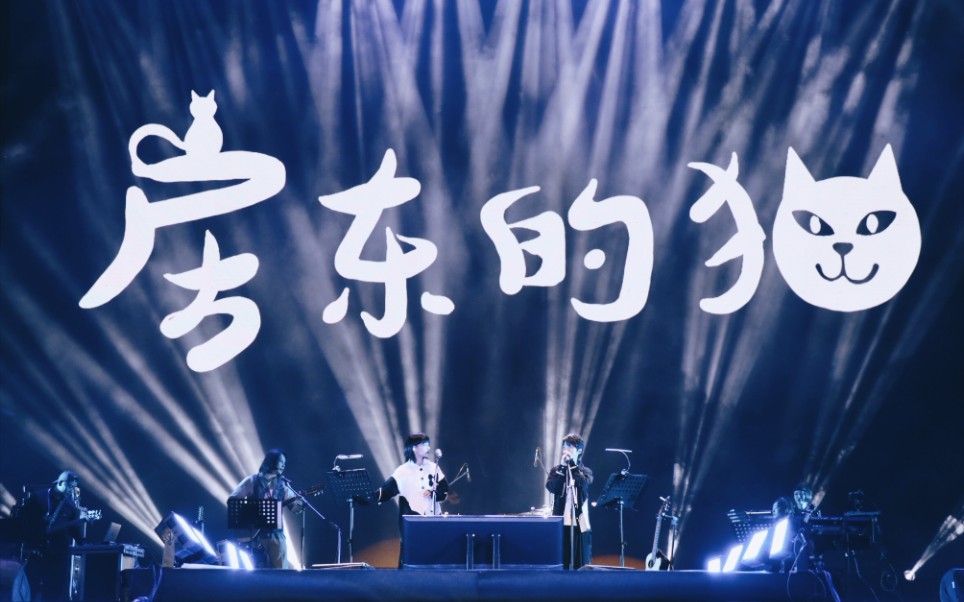 2021网易云硬地围炉夜——房东的猫