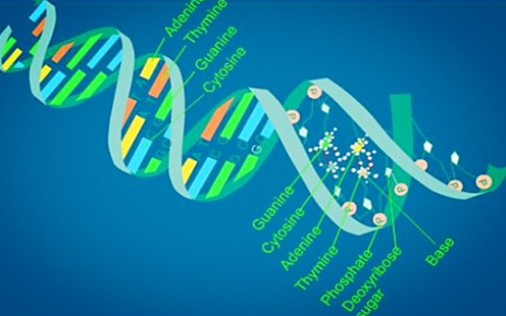 生物试卷评讲哔哩哔哩bilibili