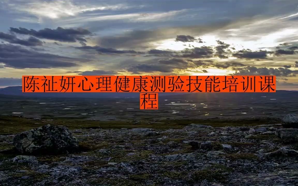 陈祉妍心理健康测验技能培训课程 xvf