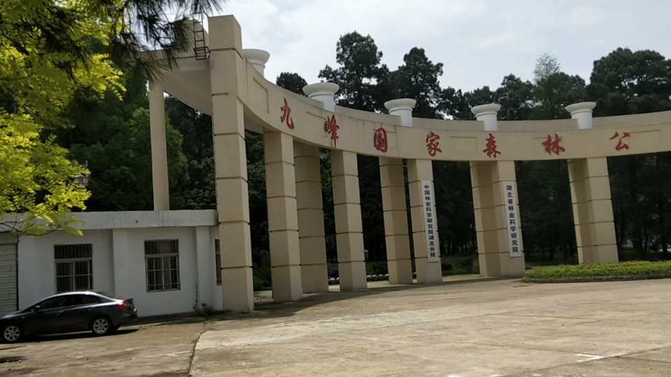 活动作品九峰国家森林公园