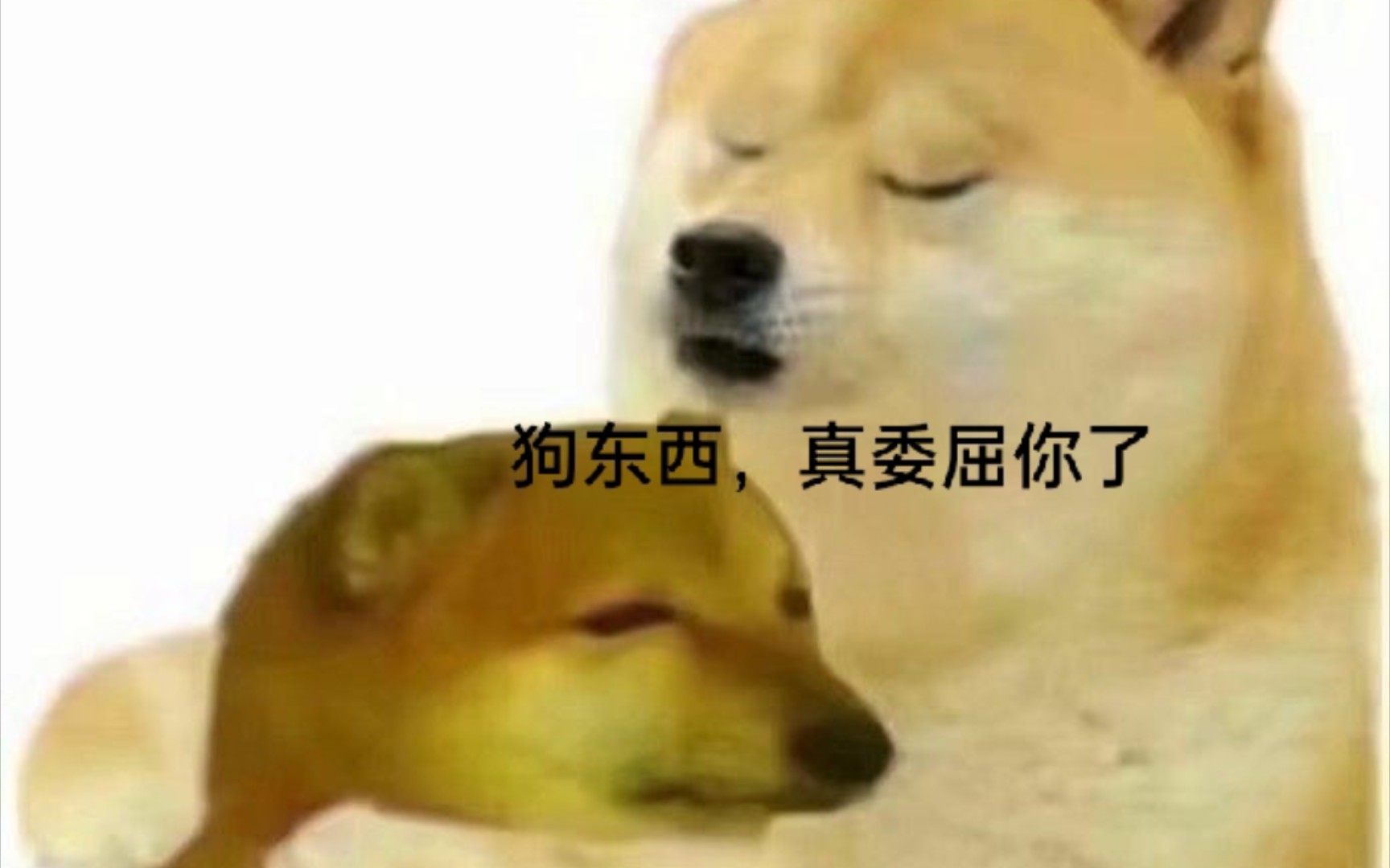 一周情侣活动哔哩哔哩bilibili