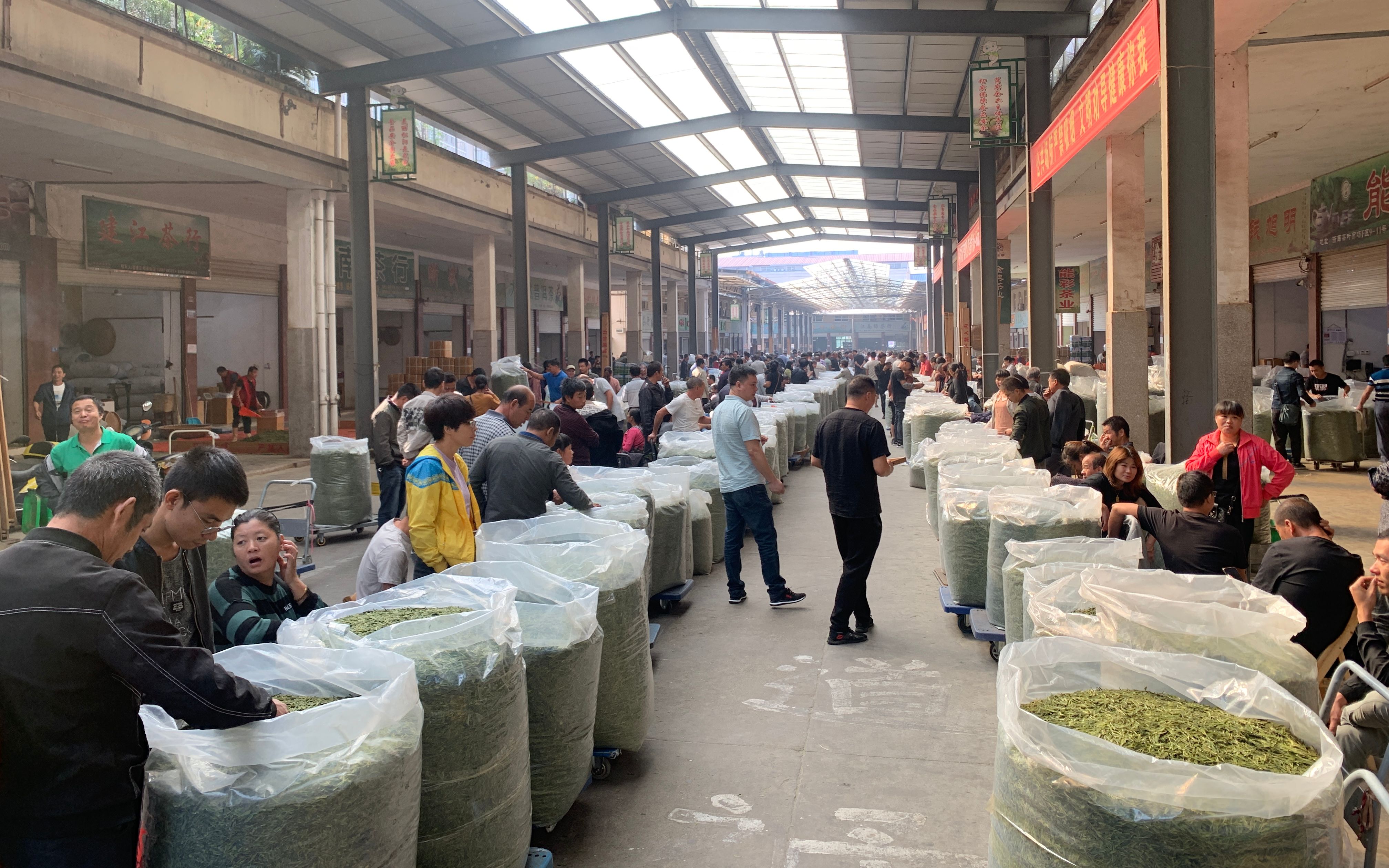 茶叶的门门道道可真多,大鹏带你去茶叶市场,一边说一边讲解