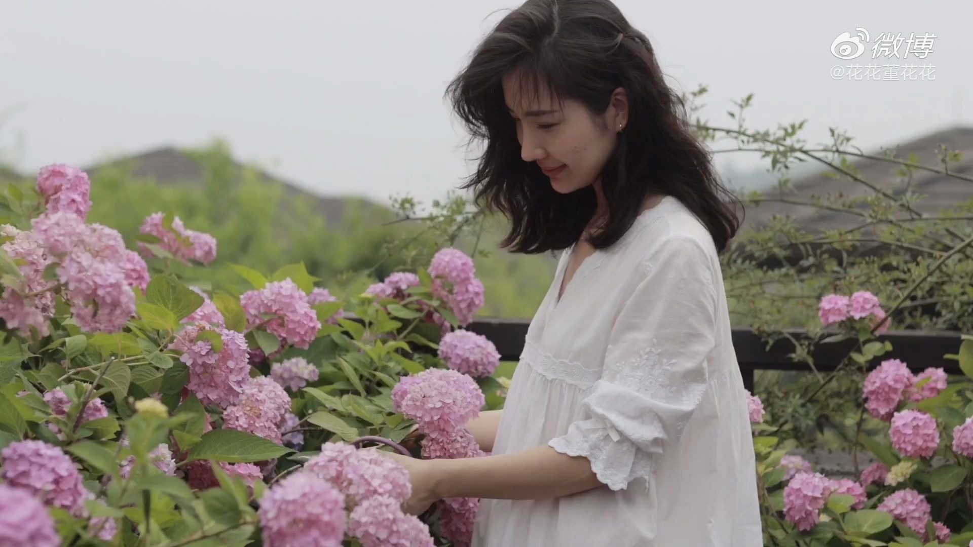 【搬运】花花董花花 蔬菜烘蛋