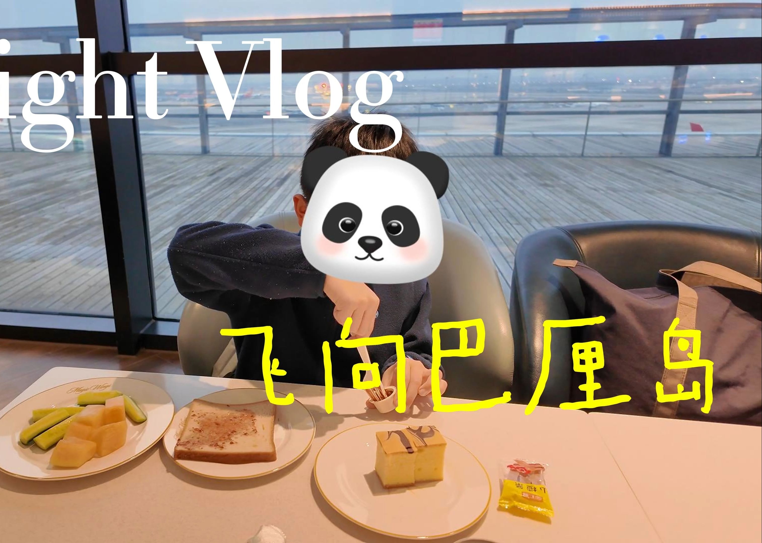 飞行VLOG 上海到巴厘岛的东航商务舱体验~老骥伏枥 志在千里~哔哩哔哩bilibili