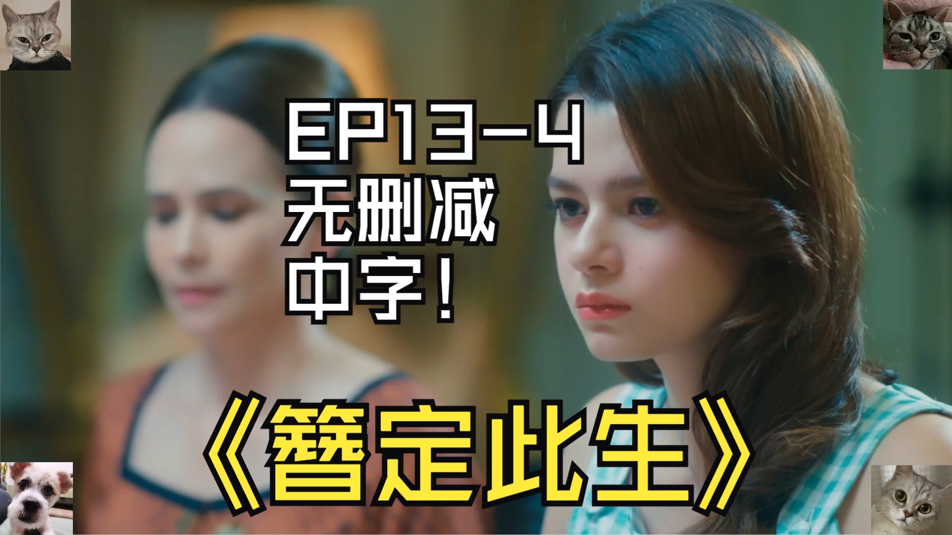 簪定此生EP134无删减中字公主哭惨了哔哩哔哩bilibili