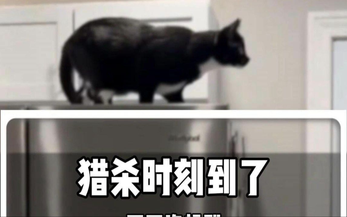 猎杀时刻狗头图片