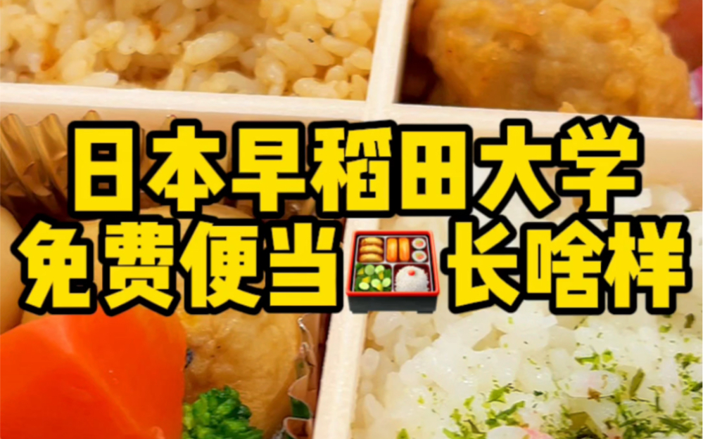 日本早稻田大学的免费便当长啥样?第二弹!给两格米饭也太糊弄人了!!哔哩哔哩bilibili