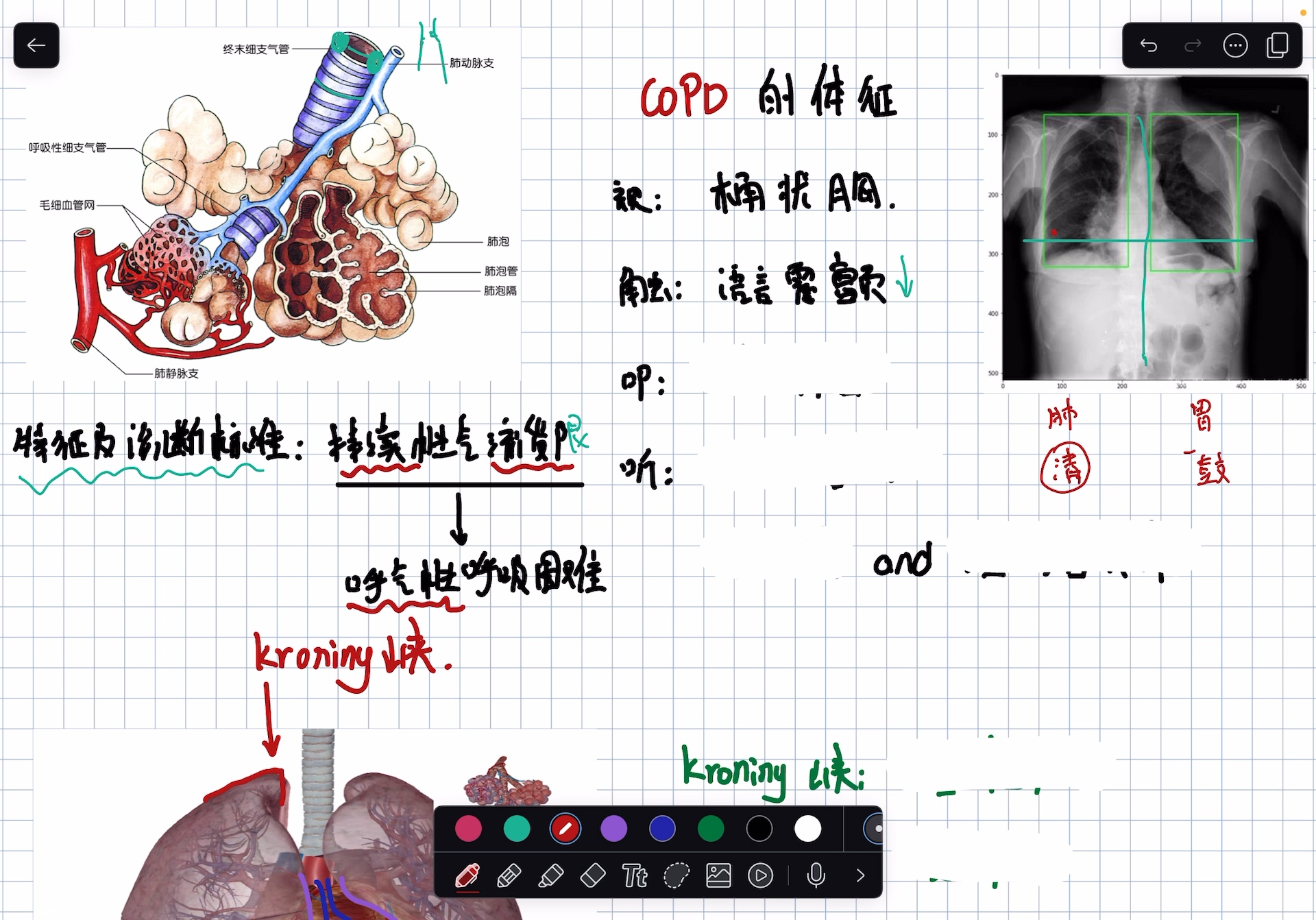 copd图片 手抄报图片