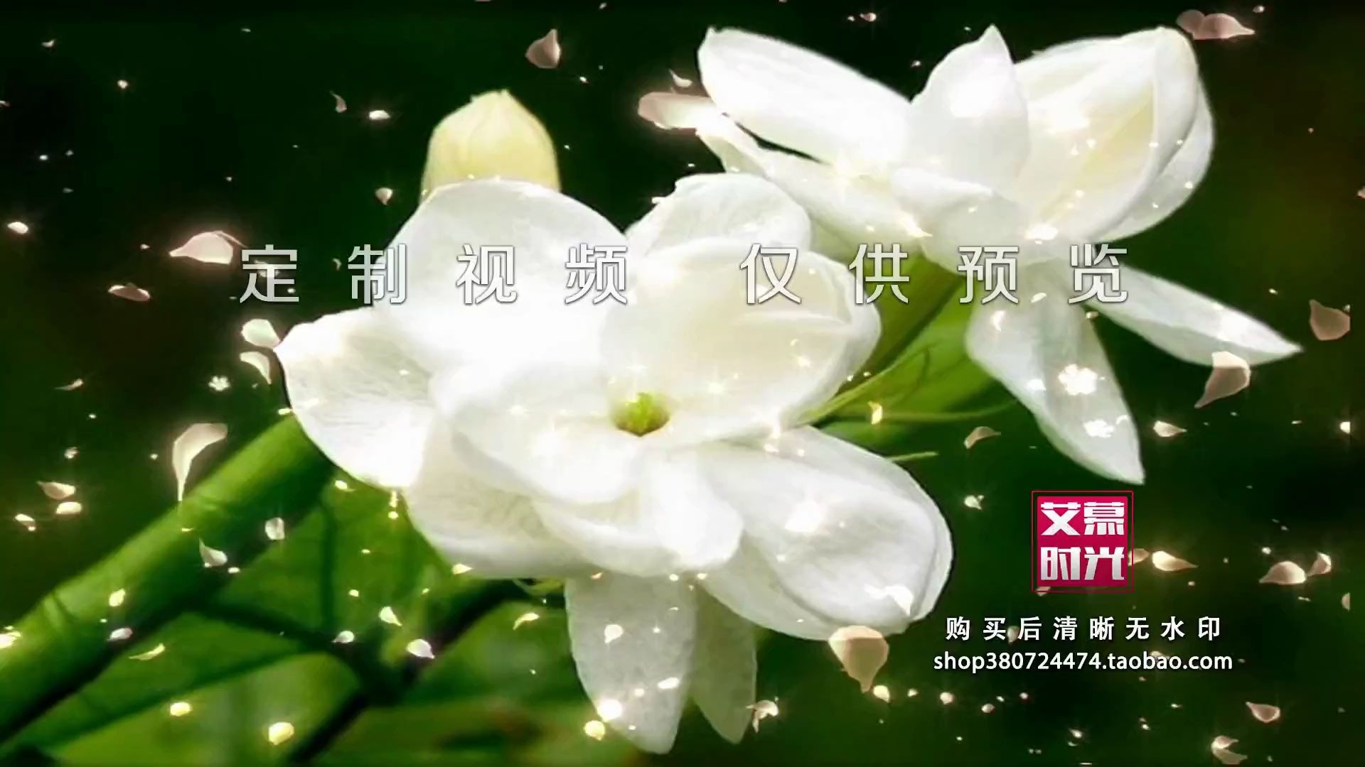 AM29201 清新茉莉花开 古筝琵琶民族乐器古典 舞蹈背景 led大屏幕视频素材哔哩哔哩bilibili