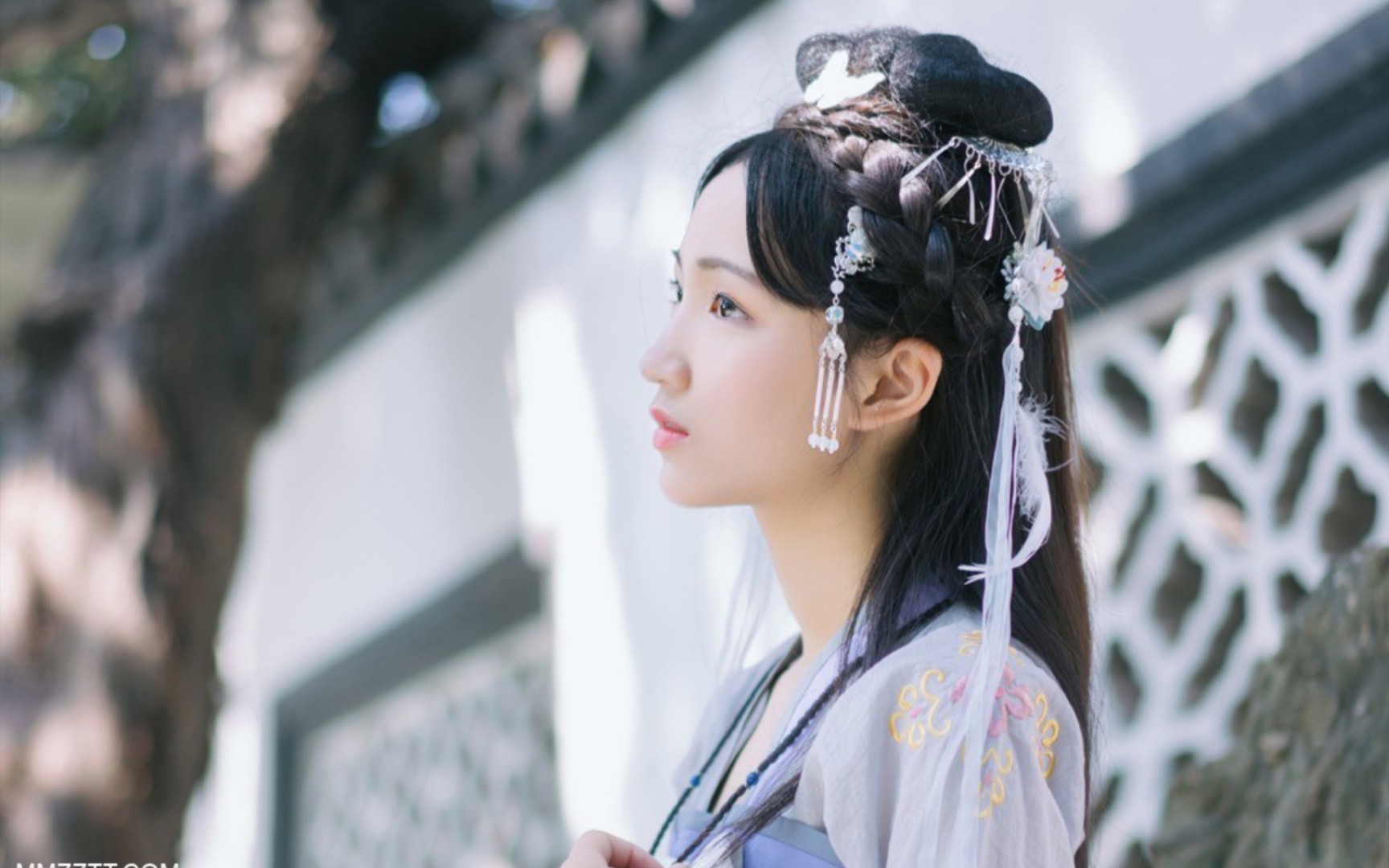 温婉可人的古风小姐姐谁不爱呢古风图集3