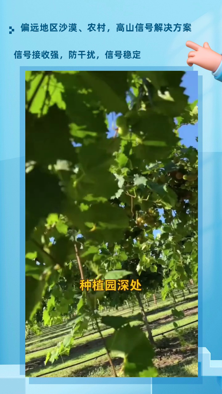 种植园信号差?看过来,有办法啦. 改善偏远信号差,三网4G5G无忧. #光纤直放站 #高山光纤直放站信号不好 #森林光纤直放站安装 #手机信号扩大器厂家...