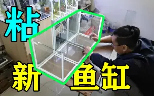 Télécharger la video: 第一次自己划玻璃粘鱼缸，很有成就感！新缸粘好还有鱼友送鱼！