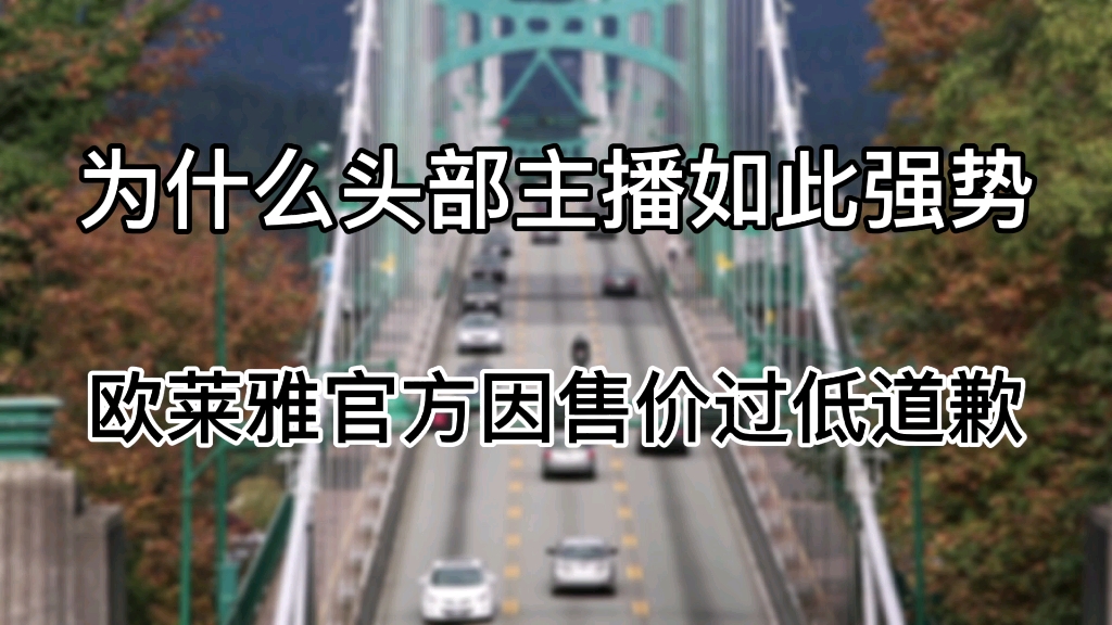 欧莱雅因价格比主播低道歉,为何头部主播如此强势?哔哩哔哩bilibili