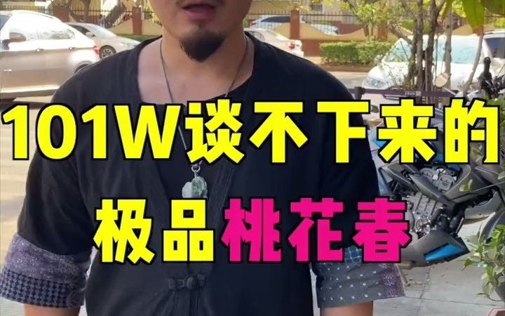 101w谈不下来的极品桃花春哔哩哔哩bilibili