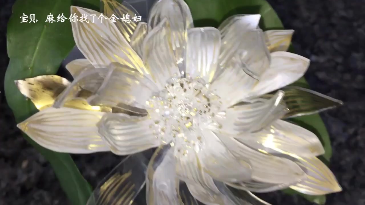 【热缩金昙花】金昙花拜年啦,2019做只吉祥的居居 (看李子柒小姐姐的花园有感)(づ￣ 3￣)づ哔哩哔哩bilibili