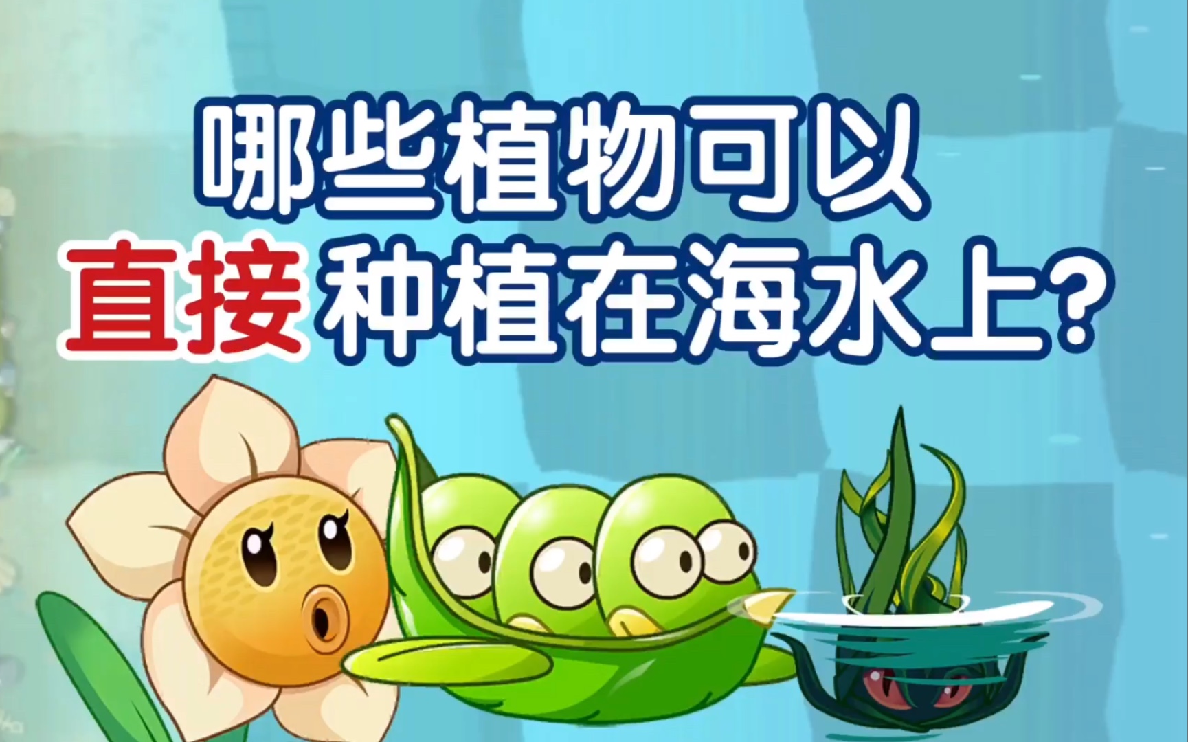 有哪些植物可以直接种植在水面上?哔哩哔哩bilibili