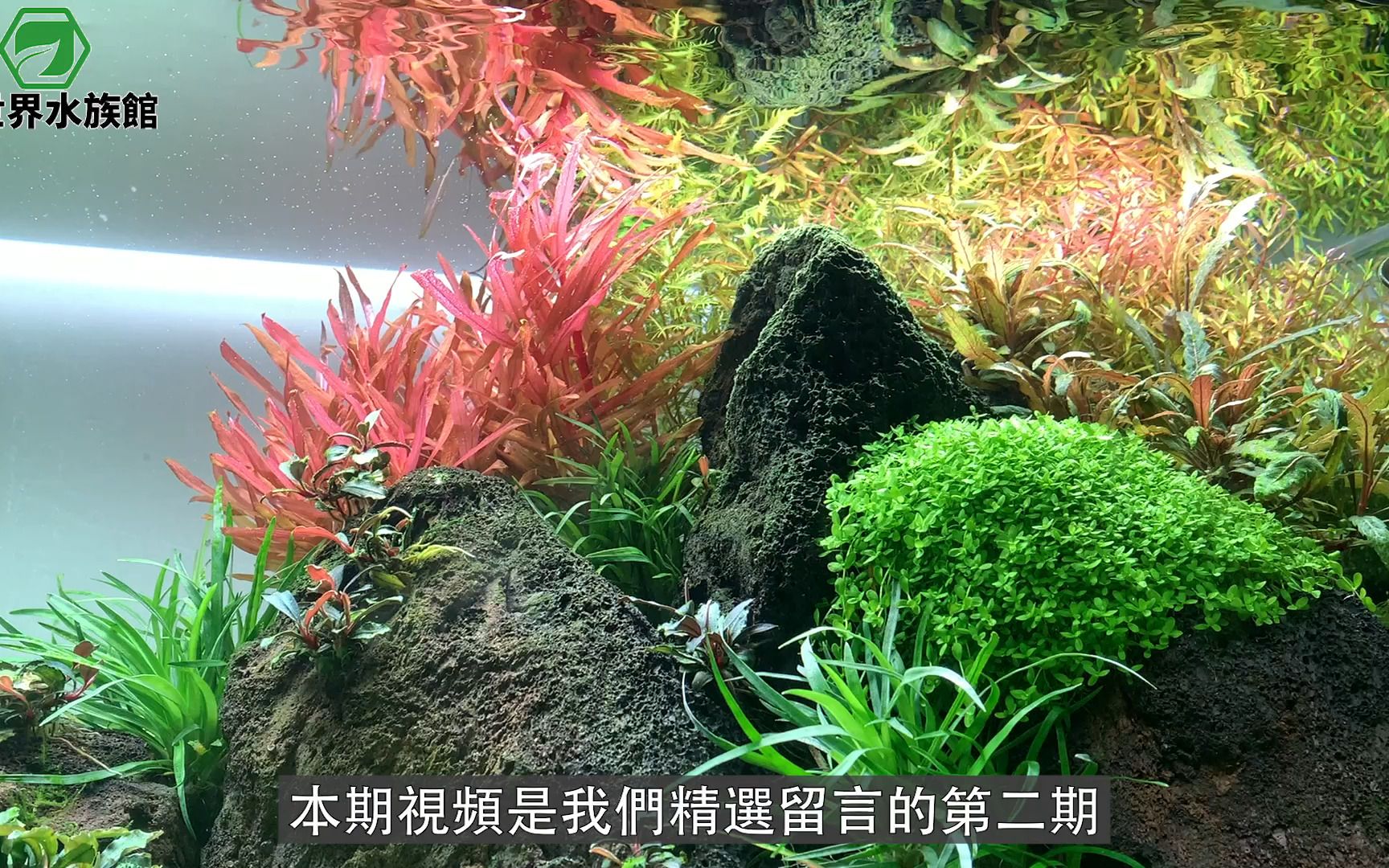 网友留言问题解答第二期,欢迎有问题留言,会定期整理出代表性问题哔哩哔哩bilibili