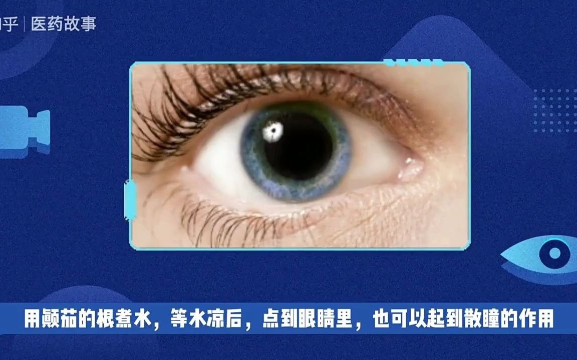 [图]19 命运之线——颠茄的命名