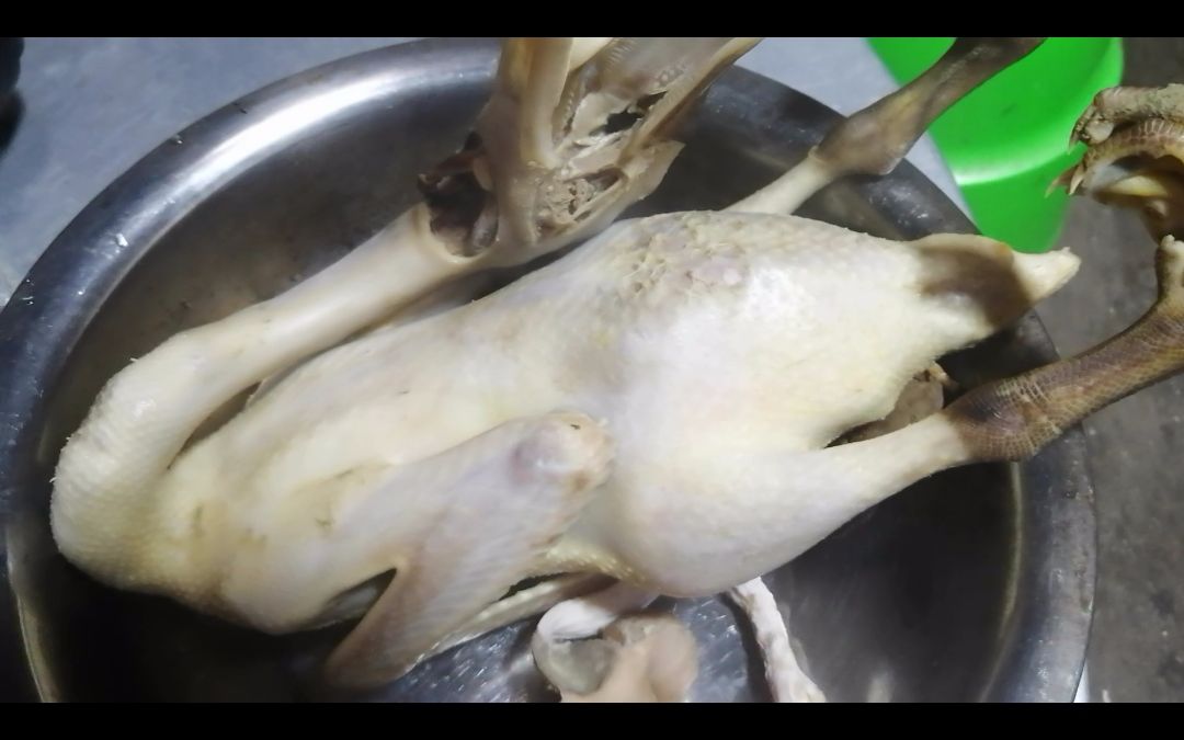 用100多天老鸭做白切鸭,头一次见这吃法,拿开锅盖整个人看饿了_哔哩