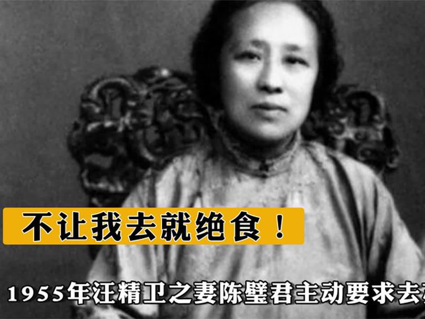 1955年,汪精卫之妻陈璧君主动要求去苏北劳动:不让我去就绝食!哔哩哔哩bilibili