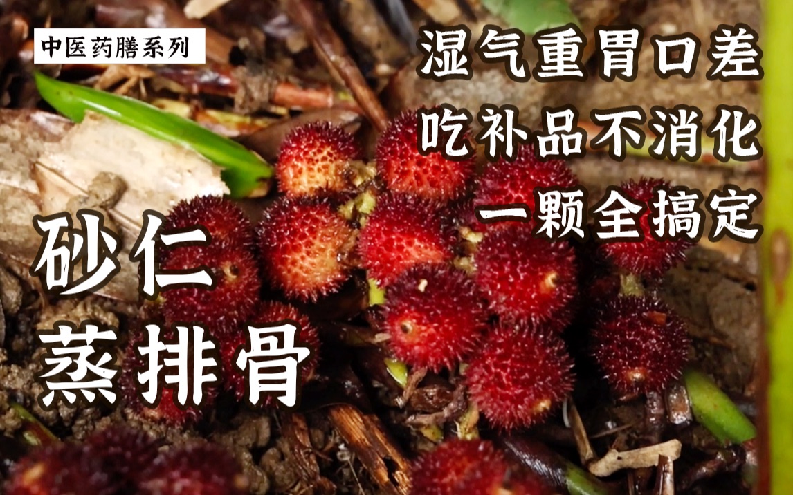 [图]广东名菜 砂仁蒸排骨