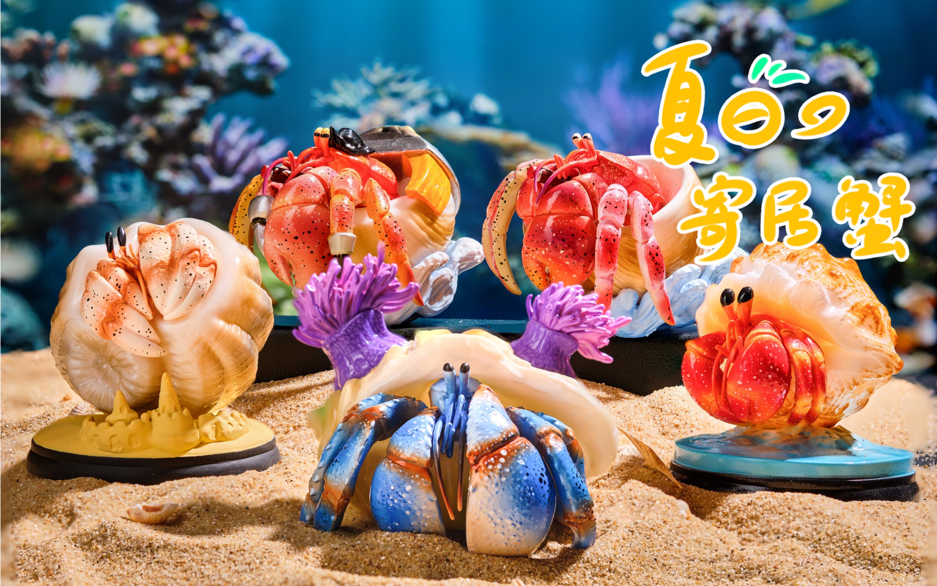 守护夏日の寄居蟹的无限梦想公益盲盒暖心出发